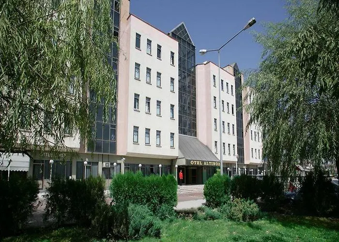 Altinoez Hotel 4*